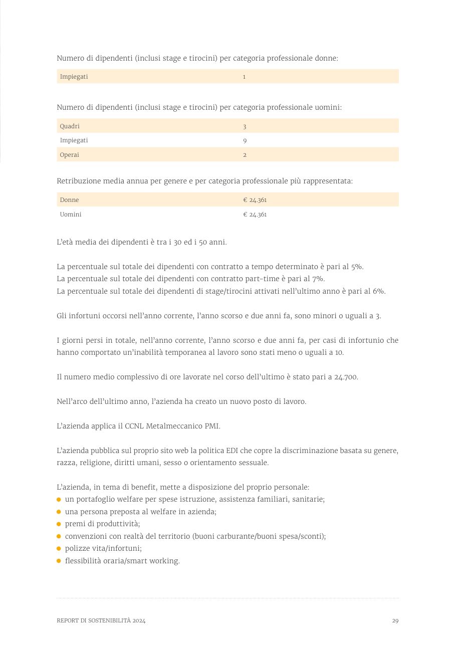 Report di Sostenibilità 2024 — pagina 29